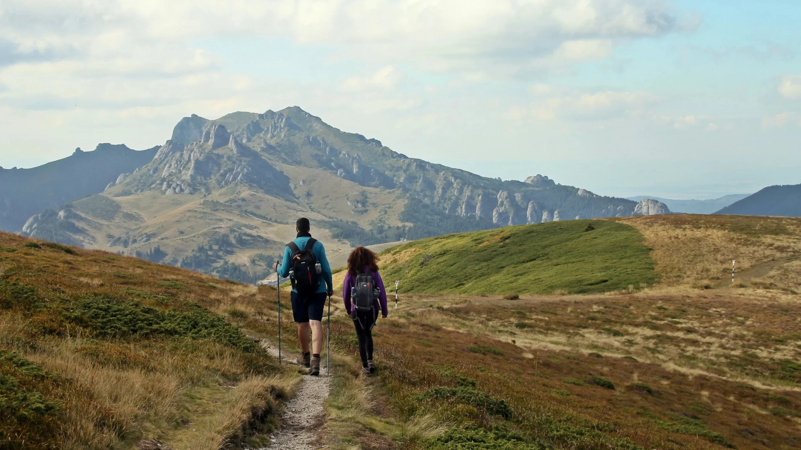 Cover-cropped-scaled